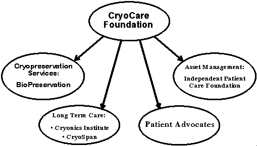  Organization chart 